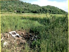 Terreno edificabile in Residenziale