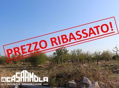 Terreno agricolo in Commerciale
