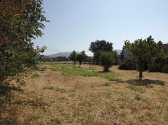 Terreno edificabile in Residenziale