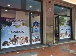 Attività/Licenza (con o senza mura) in Commerciale