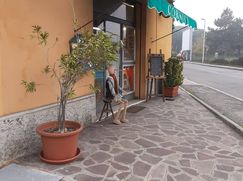 Negozio/Locale commerciale in Commerciale