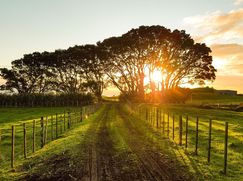 Terreno agricolo in Commerciale