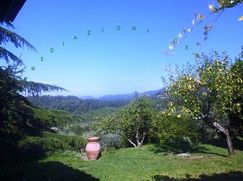 Rustico/Casale in Residenziale