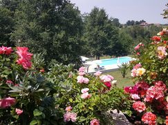 Attico/Mansarda in Residenziale