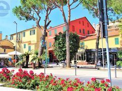 Negozio/Locale commerciale in Commerciale