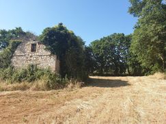 Rustico/Casale in Residenziale