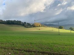 Terreno edificabile in Residenziale