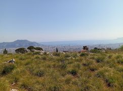 Terreno edificabile in Residenziale