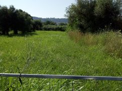 Terreno edificabile in Residenziale
