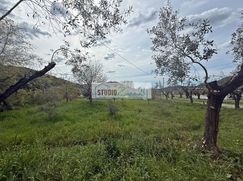 Terreno edificabile in Residenziale