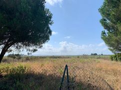 Terreno agricolo in Commerciale