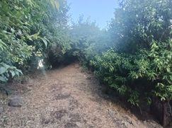 Terreno agricolo in Commerciale