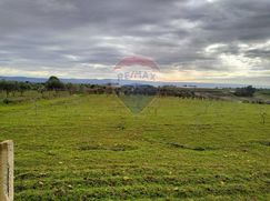 Terreno agricolo in Commerciale