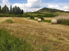 Terreno edificabile in Residenziale