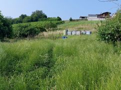 Terreno edificabile in Residenziale