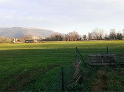 Terreno agricolo in Commerciale