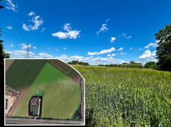 Terreno agricolo in Commerciale