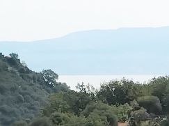 Terreno agricolo in Commerciale