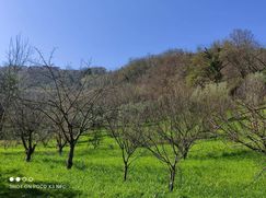 Terreno agricolo in Commerciale