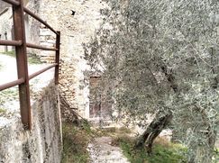 Cantina/Solaio in Residenziale