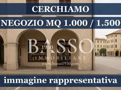 Negozio/Locale commerciale in Commerciale