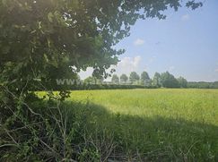 Terreno agricolo in Commerciale
