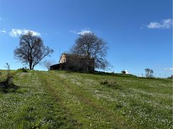 Rustico/Casale in Residenziale