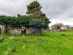 Terreno agricolo in Commerciale