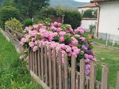 Casa indipendente in Residenziale