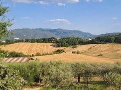 Terreno edificabile in Residenziale