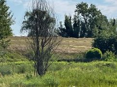 Terreno edificabile in Residenziale