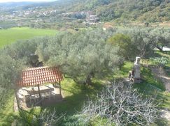 Terreno edificabile in Residenziale