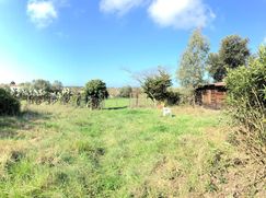 Terreno agricolo in Commerciale