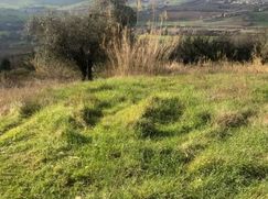 Terreno edificabile in Residenziale