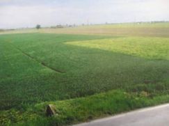 Terreno edificabile in Residenziale