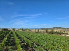 Rustico/Casale in Residenziale