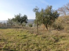 Terreno agricolo in Commerciale