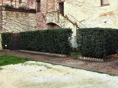 Cantina/Solaio in Residenziale