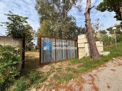 Terreno agricolo in Commerciale
