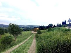 Rustico/Casale in Residenziale