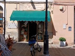 Negozio/Locale commerciale in Commerciale