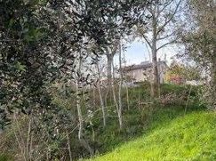Terreno edificabile in Residenziale