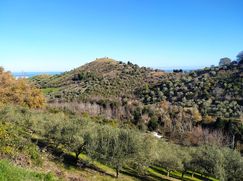 Terreno edificabile in Residenziale