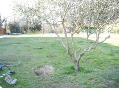 Terreno edificabile in Residenziale