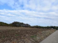 Terreno agricolo in Commerciale