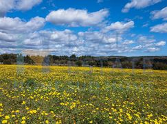 Terreno edificabile in Residenziale