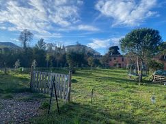 Terreno agricolo in Commerciale