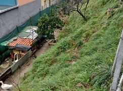 Terreno agricolo in Commerciale