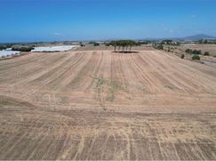 Terreno agricolo in Commerciale