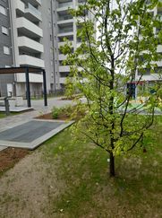 Attico/Mansarda in Residenziale